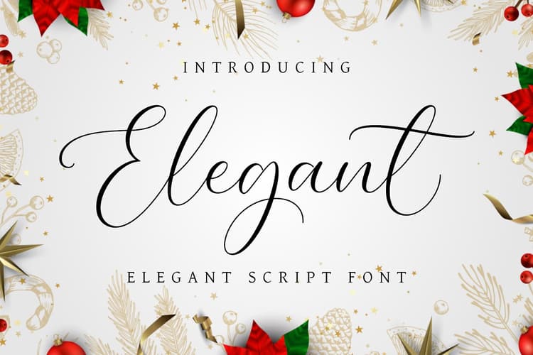 Elegant Font