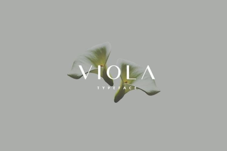 Viola Typeface