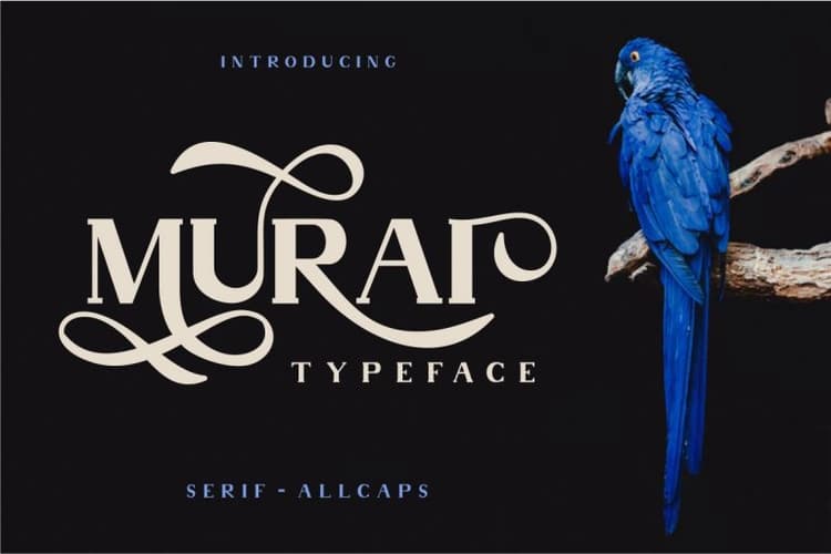 Murai Typeface