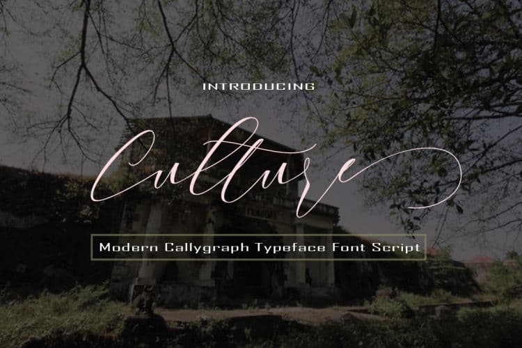 Culture Script Font