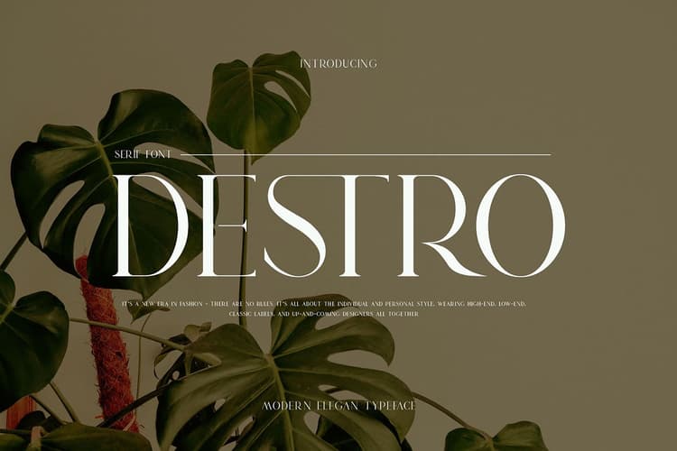 Dsetro Font
