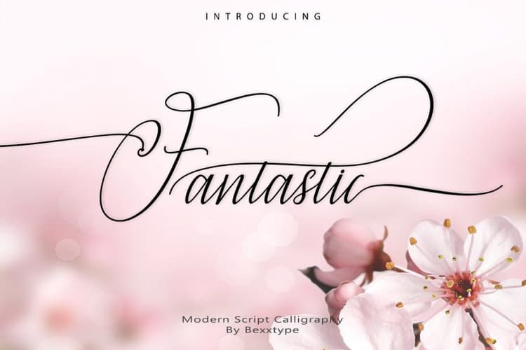 Fantastic Script Font