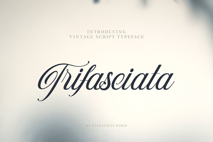 Trifasciata Font