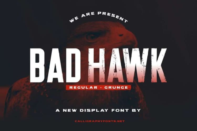 Bad Hawk Font