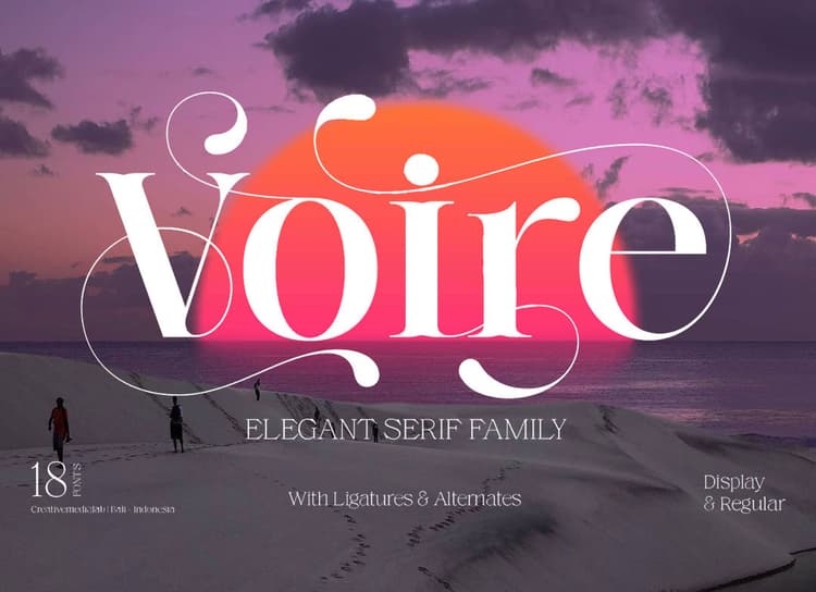 Voire Serif Font Family