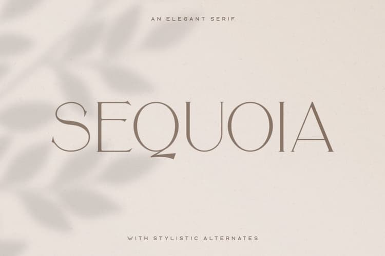 Sequoia Font