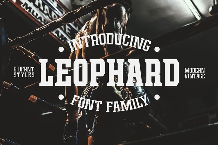 Leophard Font Family