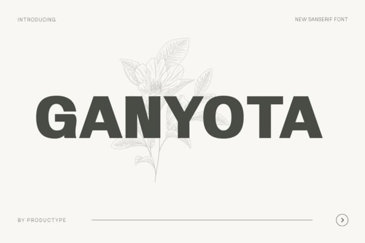 Ganyota Font Family