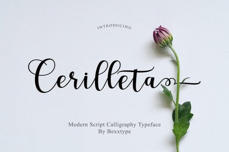 Cerilleta Script Font