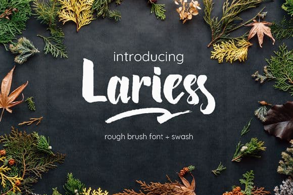 Lariess Brush Font