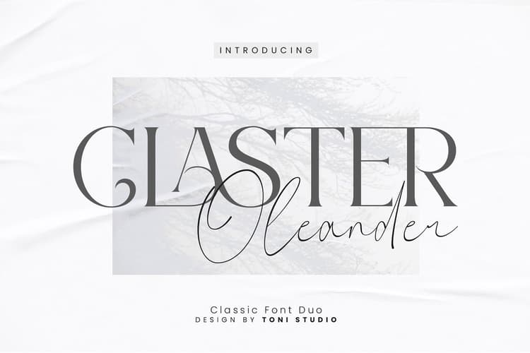 Claster Oleander Font