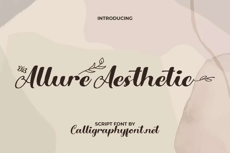 Allure Aesthetic Font