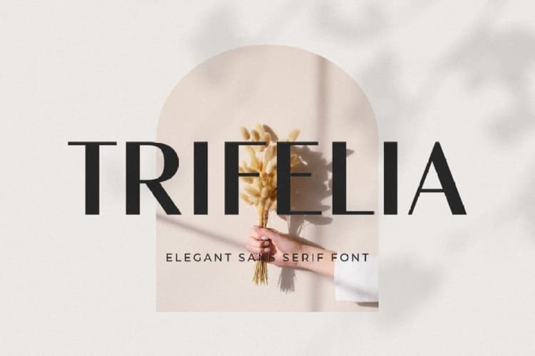 Trifelia Font