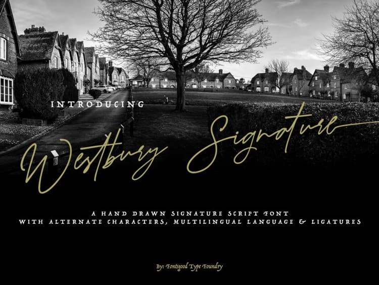 Westbury Signature Demo Font