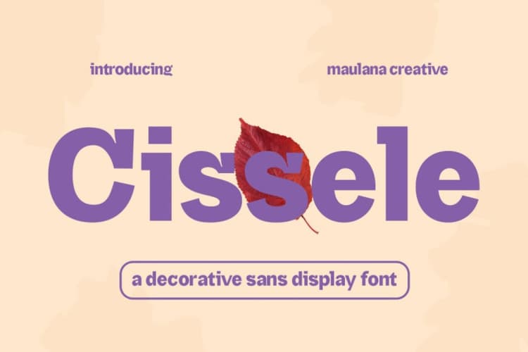 Cissele Font