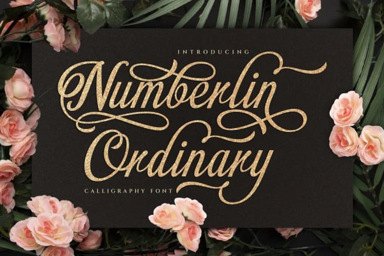 Numberline Ordinary Font