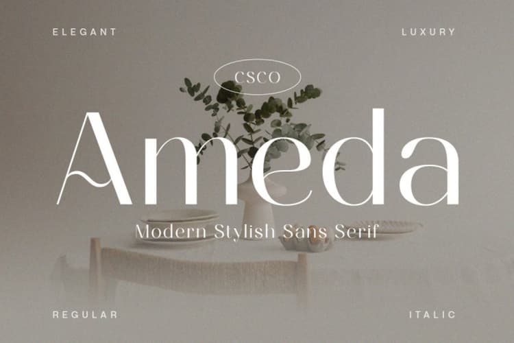 Ameda Font