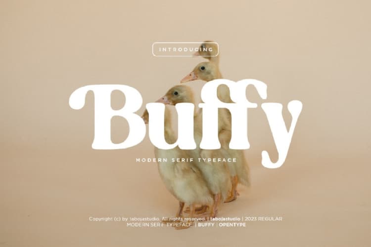 Buffy Font