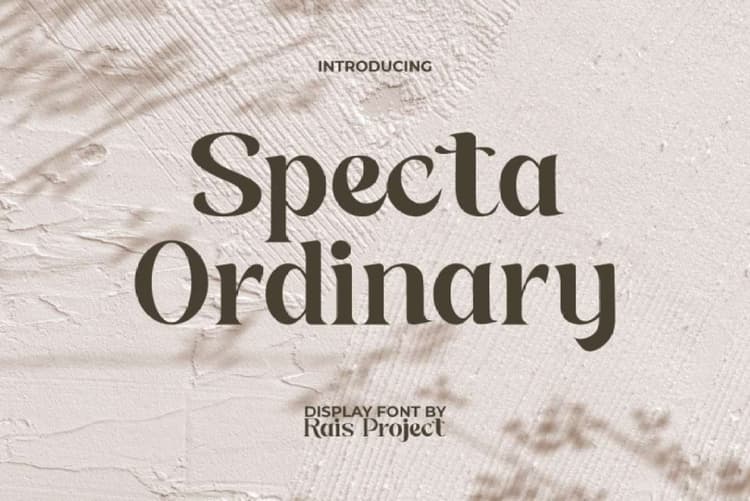 Specta Ordinary Font