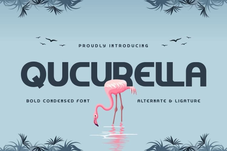 Qucurella Font