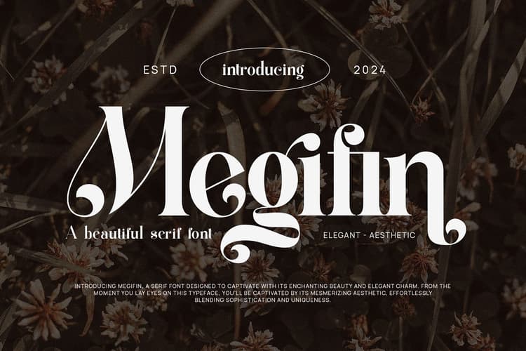Megifin Font