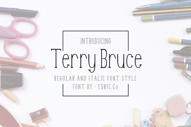 TerryBruce Sans Serif Font