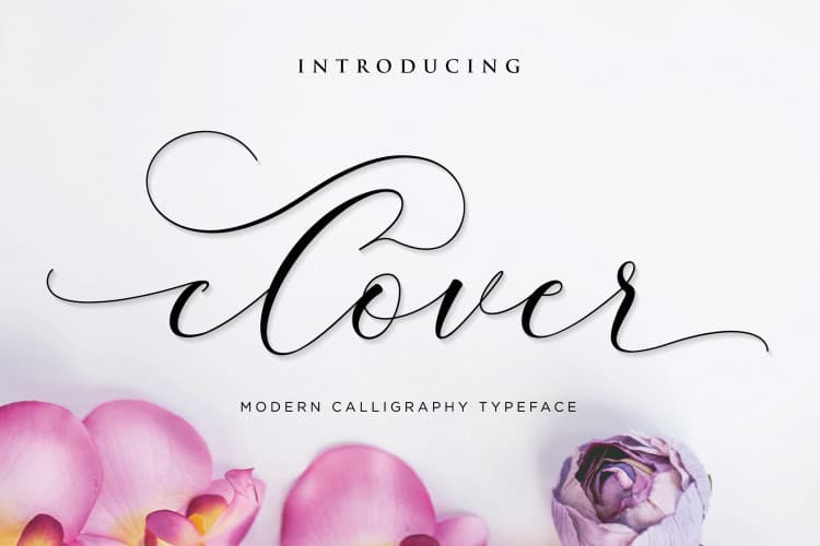 Clover Calligraphy Font