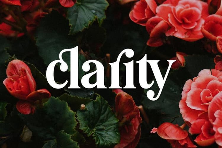 Pioggia Modern Serif Font
