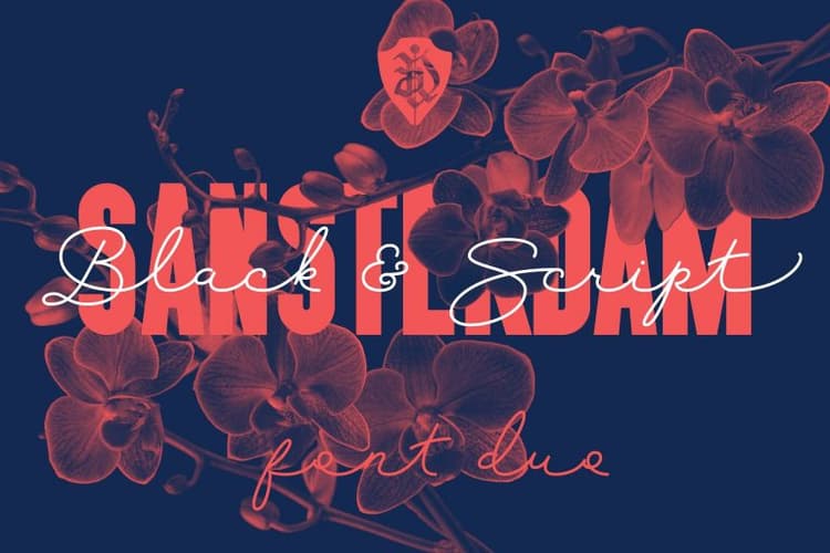 Sansterdam Black Font