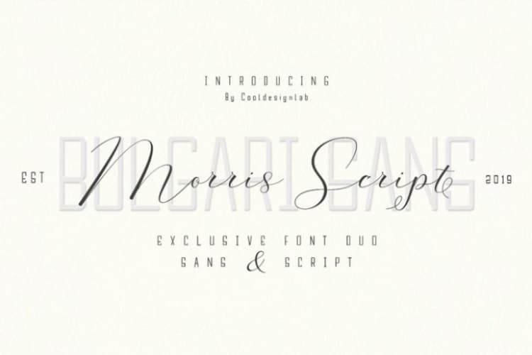 Morris Script Font Duo