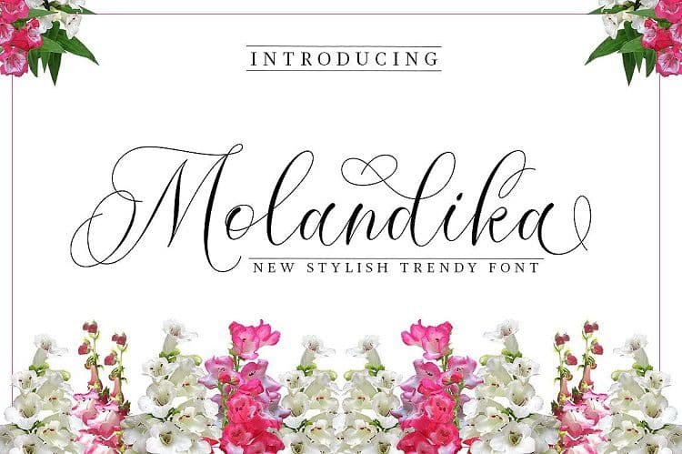 Molandika Calligraphy Font