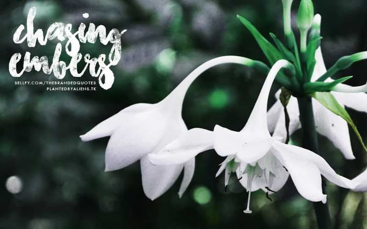 Chasing Embers Font Free