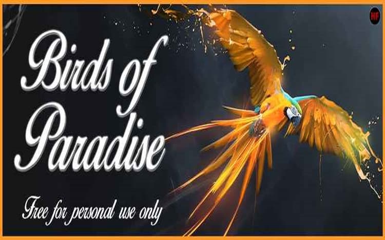 Birds of Paradise Font