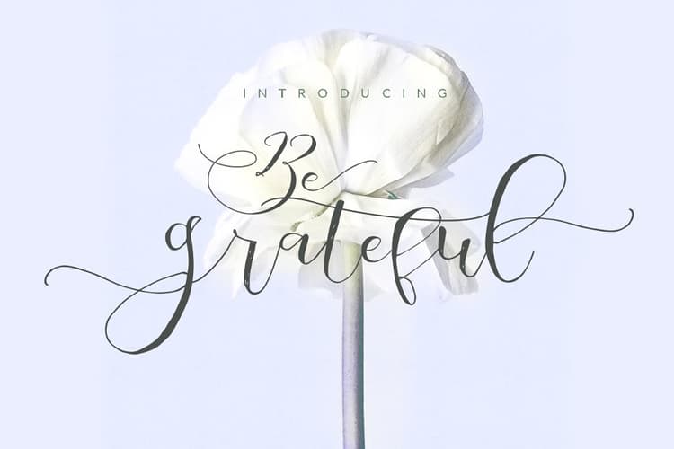 Be Grateful Script Font