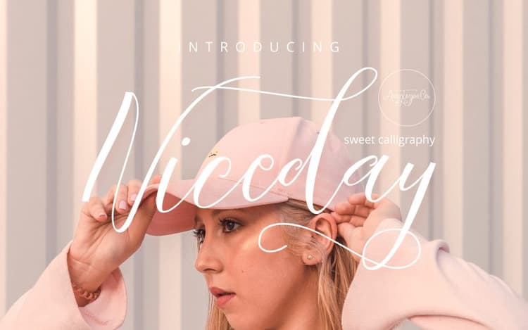 Niceday Script Font