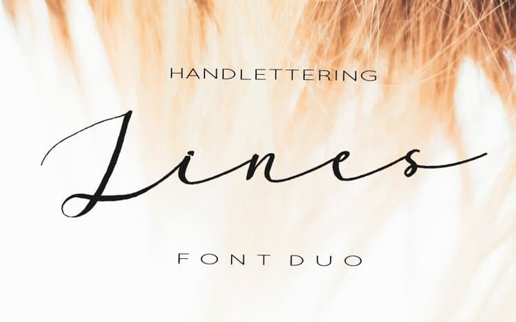 Lines Sans & Script Font