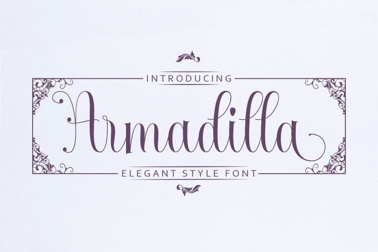 Armadilla Script Font