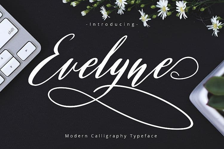 Evelyne Script Font