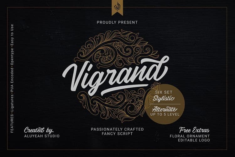 Vigrand Script Font Family