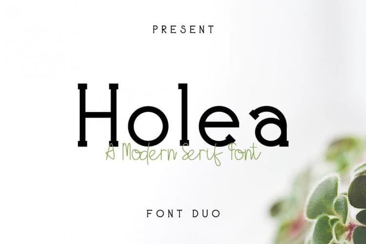 Holea Font Duo
