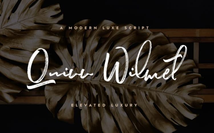Quinn Wilmet Brush Font