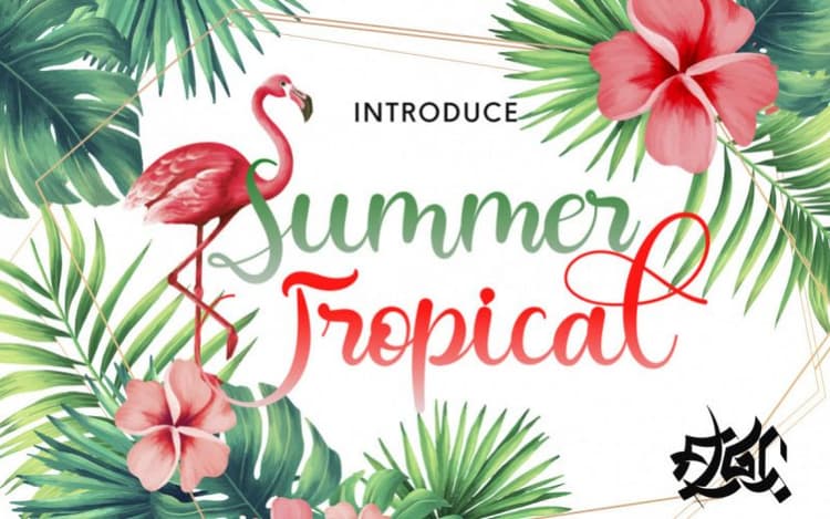 Summer Tropical Font