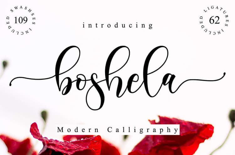 Boshela Calligraphy Font