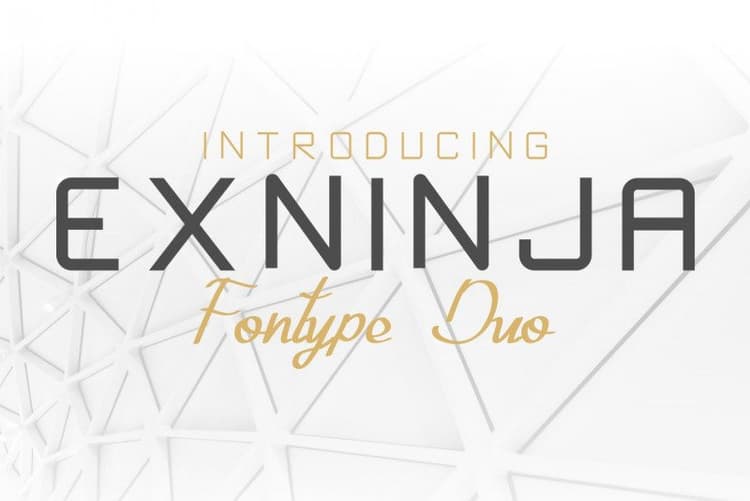 Exninja Font Duo
