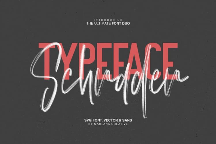 Schrader SVG Brush Font
