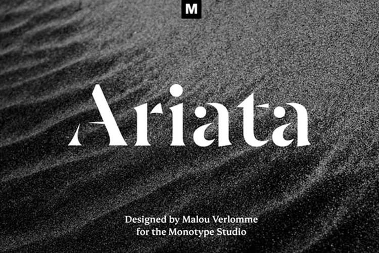 Ariata Font Family