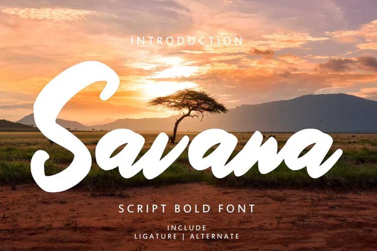 Savana Script Bold Font