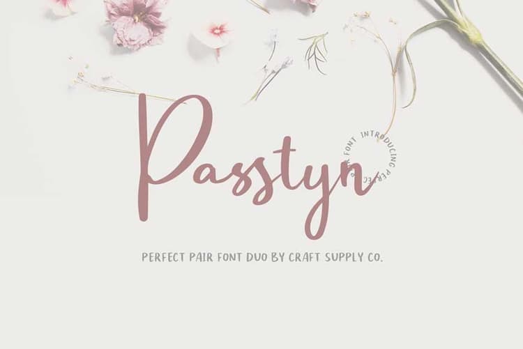 Passtyn Handwritten Font Duo