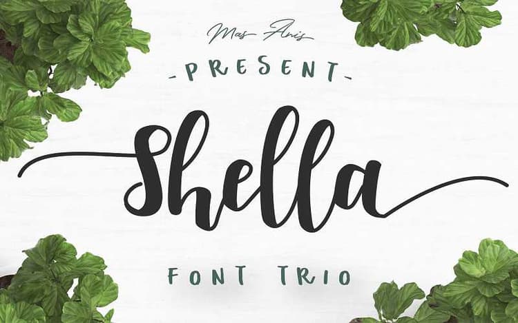 Shella Script Font