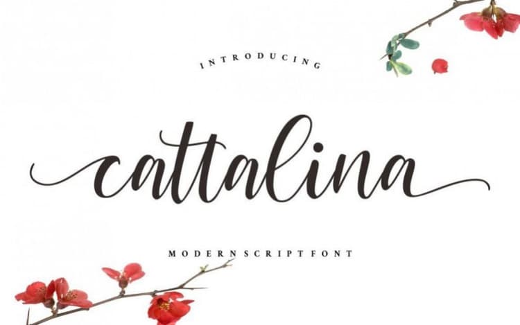 Cattalina Calligraphy Font